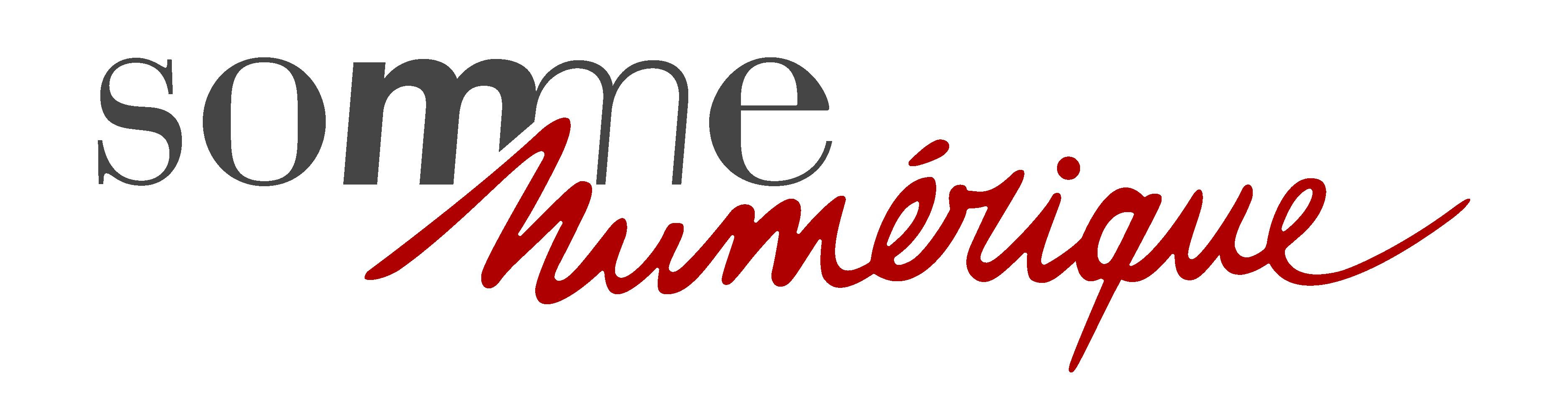 FORMULAIRE DE DEMANDE DE RACCORDEMENT AU RESEAU DE FIBRE OPTIQUE DE SOMME NUMERIQUE